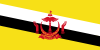 Live tv-zenders uit  Brunei 