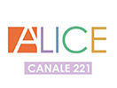 Bekijk Alice TV live