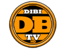 Bekijk DiBi TV live