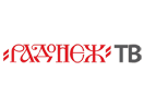 Bekijk Radonezh TV live