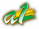 Bekijk A1 Islam live