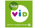 Bekijk Tele Vid live