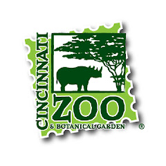 Cincinnati Zoo Giraffe Birth Cam