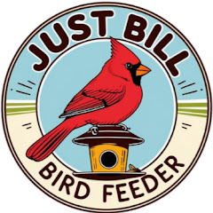 North Carolina Bird Feeder Live Cam