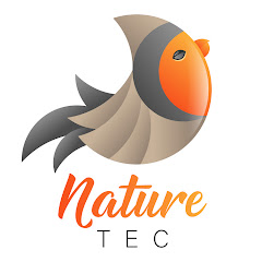 Bekijk Uplengen Bird and Hedgehog Feeder Cam live