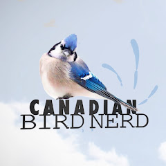 Bekijk Mountain View Bird Feeder Live Cam Alberta live