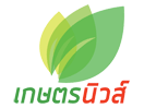 Bekijk Kaset News Channel live