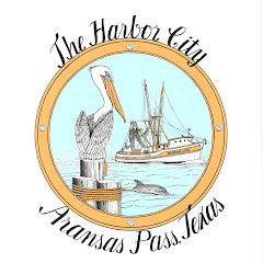 Aransas Pass Harbor Park Live Camera