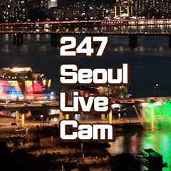Seoul Han River Olympic Expressway Fountain Live live